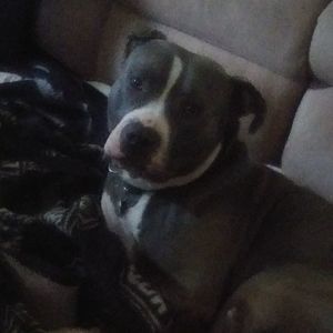 Meet your Posher, Gale